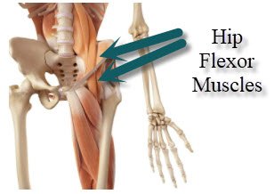 tight-hip-flexor-muscles-groups